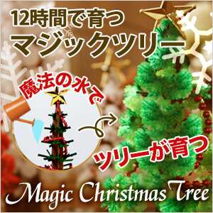 【世界まる見え！テレビ特捜部で紹介！】クリスマス ツリー 卓上 ミニ マジックツリー マジッククリスマスツリー 12時間で育つ不思議なツ｜au PAY  マーケット