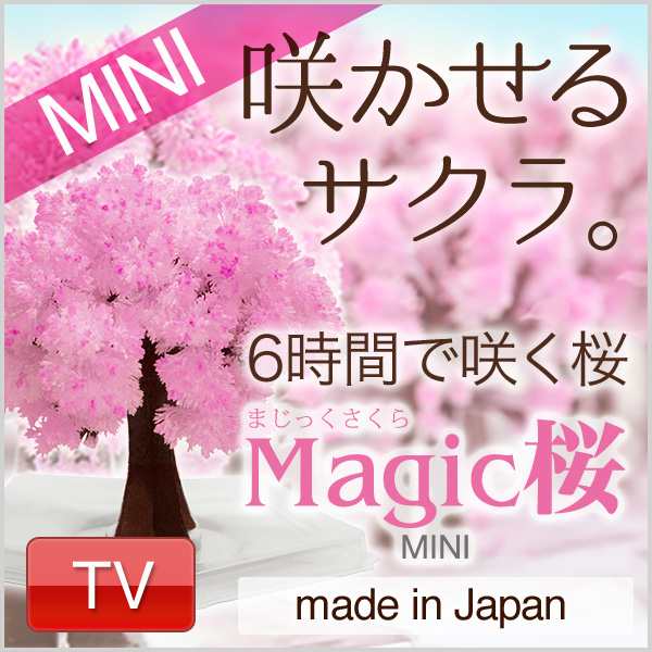 マジック桜 ミニ 6時間で桜の様にモコモコ育つ Magic桜 おうち花見 おとぎの国の通販はau Pay マーケット おとぎの国