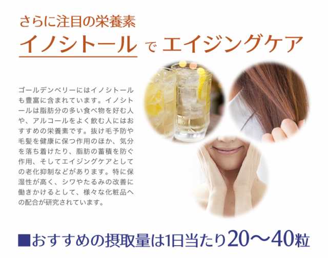 ドライフルーツ ゴールデンベリー 250g 高品質 無添加 無香料 無着色 エイジングケア インカベリー メール便送料無料 の通販はau Pay マーケット おとぎの国