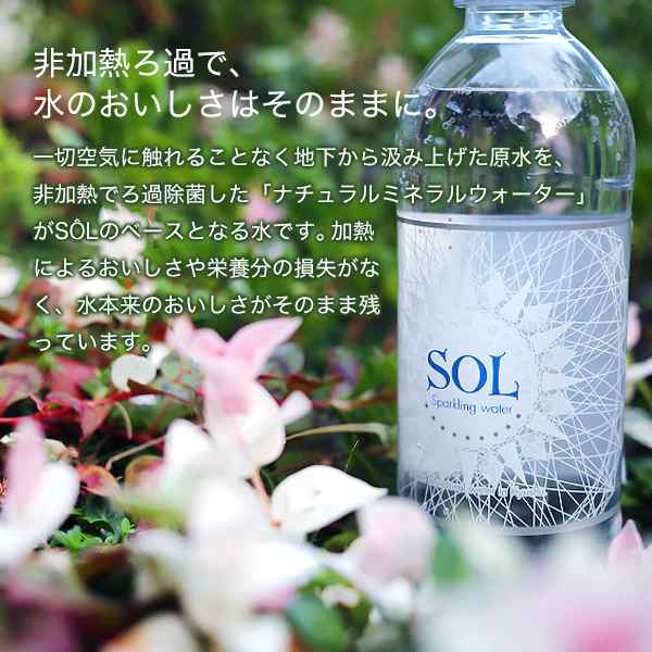 シリカ炭酸水 Sol ソール シリカ水 45mg L 500ml 48本 天然水 大分県日田市産 ミネラル入り 送料無料 北海道 沖縄を除く の通販はau Pay マーケット おとぎの国