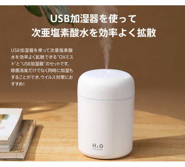 【こんな時なので値下げ】次亜塩素酸専用噴霧器　未使用　ウイルス対策