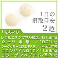 コエンザイムq10 Aリポ酸 Lカルニチン 葉酸 約3ヵ月分 カルニチン サプリメント ダイエット 3m Dietの通販はau Pay マーケット サプリ専門店シードコムスau Pay マーケット店