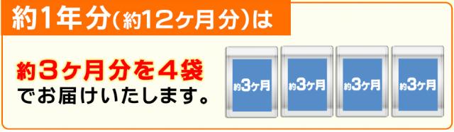 ローヤルゼリー 約12ヵ月分 エイジングケア 美容 健康食品 サプリメント_1