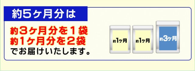 しじみエキス 約5ヵ月分 タウリン サプリ 健康維持 5mの通販はau Pay マーケット サプリ専門店シードコムスau Pay マーケット店