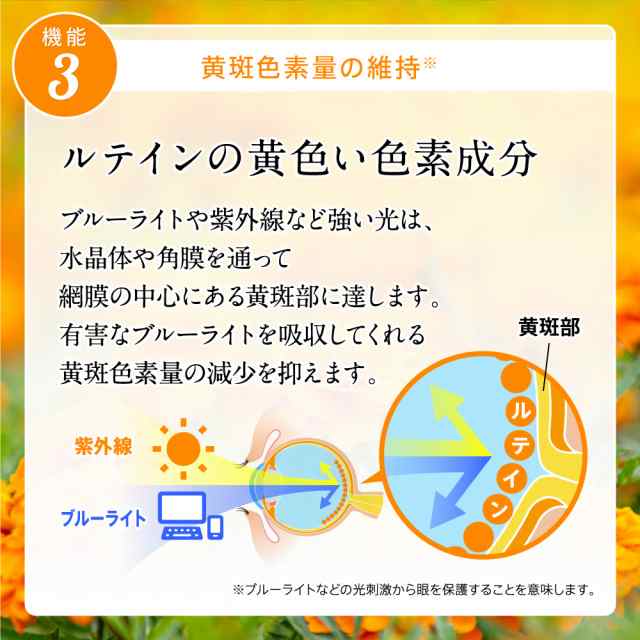 ルテイン 機能性表示食品 アイジェニック 約1ヵ月分 DHA EPA イチョウ葉 サプリメント｜au PAY マーケット