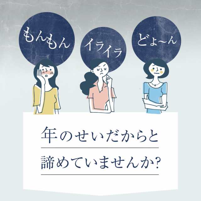 黒高麗人参 約1ヵ月分 サプリメント 健康食品の通販はau PAY マーケット - サプリ専門店シードコムスau PAY マーケット店