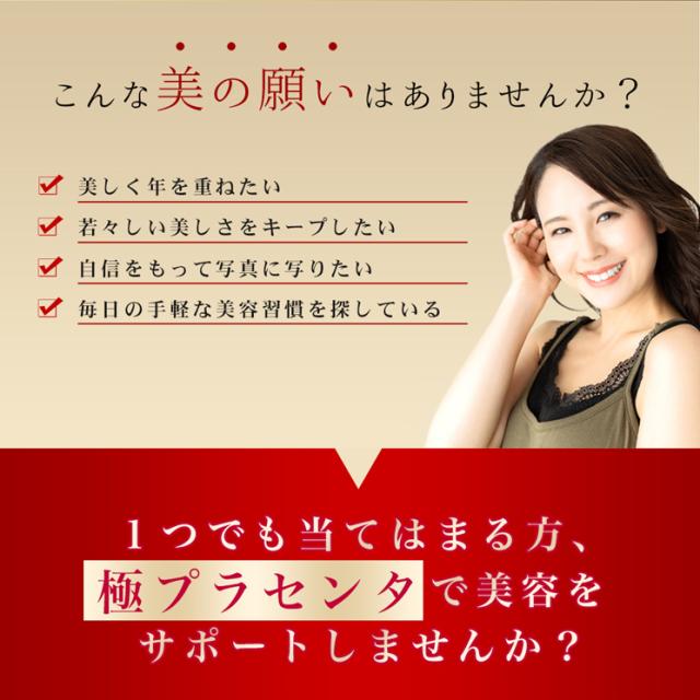 極プラセンタ 約12ヵ月分 美容 健康食品 サプリメント_2