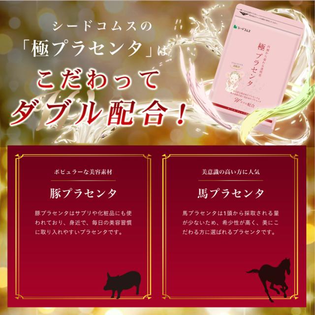 極プラセンタ 約12ヵ月分 美容 健康食品 サプリメント_4