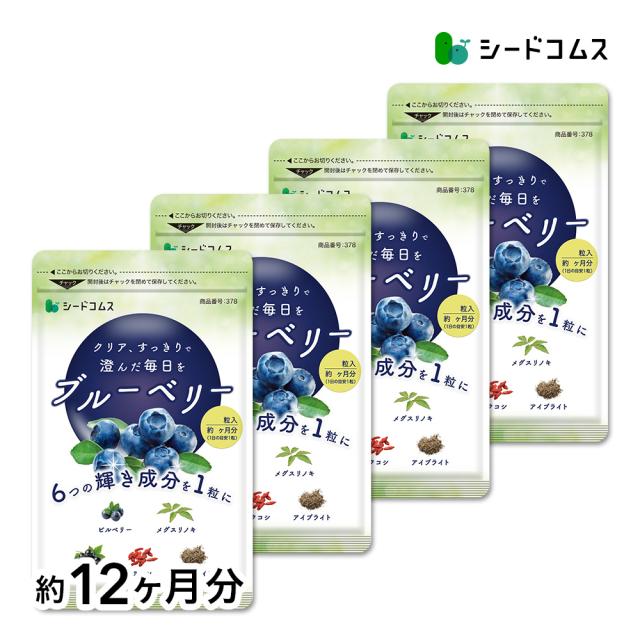 ブルーベリー 約12ヵ月分 サプリ サプリメント アントシアニン 健康食品