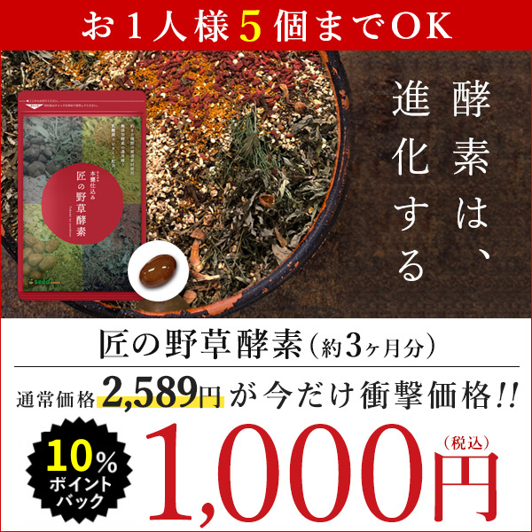 匠の野草酵素 野菜酵素 練酵素 ビタミン 乳酸菌 サプリメント 1年分