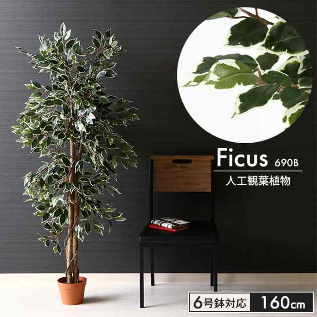 フェイクグリーン フィカス 観葉植物 人工 高さ 160cm 6号鉢対応 人工 造花 フェイク グリーン シンプル オフィス おしゃれ 観葉 植物 鉢の通販はau Pay マーケット ザッカーグplus