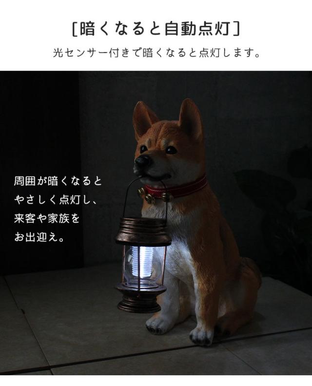 【値下げ】 ソーラーライト 犬 かわいい 屋外 おしゃれ 屋外照明 ガーデンライト 太陽光 ライト 自動点灯 センサーライト ソーラー 置物 玄関 オブジェ オーナメント 電池不要 置き型_3