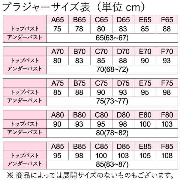 グンゼ 軽ブラ レディース ノンワイヤーブラジャー EB6215H 2枚セット