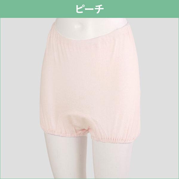 失禁パンツ 5枚セット 尿漏れパンツ 婦人 さわやか 失禁ズロース 40cc対応 女性用 さわやかパンツ 吸水ショーツ M/L/LL_2