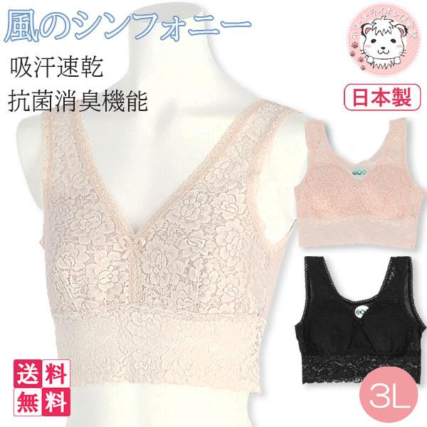 Lucky & Me Ellaダンスショーツ 体操 ダンス用 マルチカラー 3枚パック