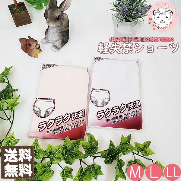 失禁ショーツ 6枚セット 失禁パンツ レディース 婦人用 尿漏れパンツ ラクラク快適 軽失禁 ショーツ 吸水ショーツ ナプキン不要 防水 M/L/LLの通販は