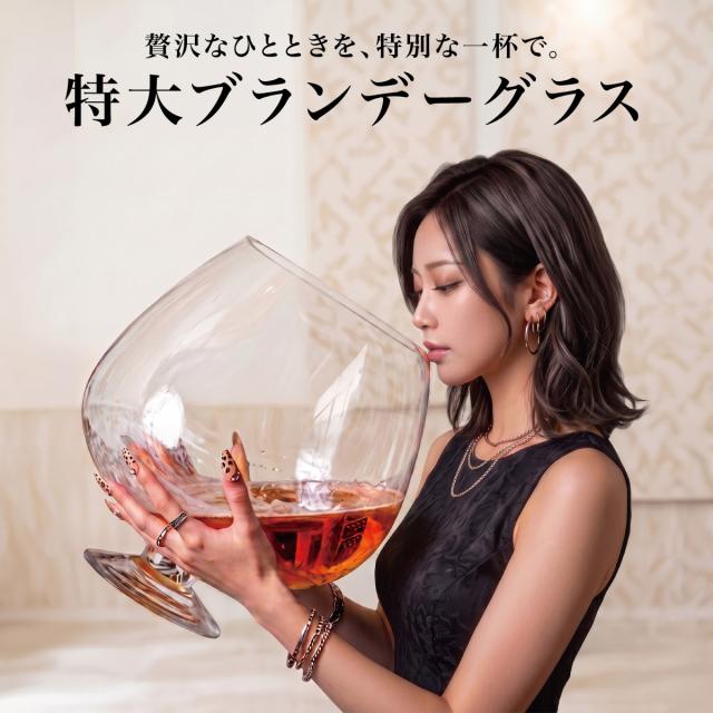 特大ブランデーグラス 特大 グラス ワイン ビール 最大直径24cm 高さ