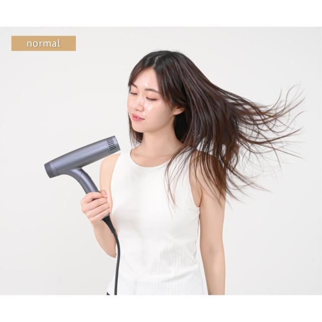 50%OFF！】ドライヤー ハイスピードイオンドライヤー 大風量
