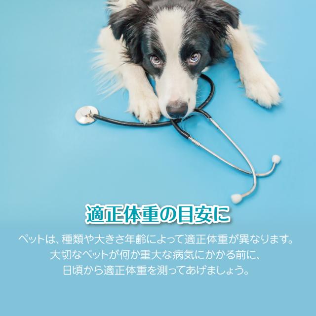 ペット ペット用体重計 ペット体重計 デジタル体重計 ペット用品 犬 猫