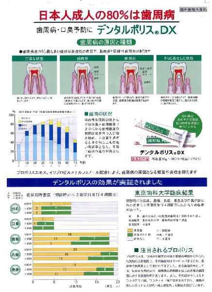デンタルポリスDX　　９６０ｇ（ １２本セット）＋　８ｇサンプル　２本進呈　　　　医薬部外品 　歯みがき