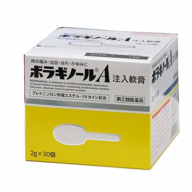72％以上節約 ボラギノールA注入軟膏 2g×30個 4個セット ※他の商品と同時購入は不可