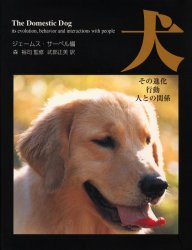 ▲01)【同梱不可】南京官話資料集/拉丁語南京語詞典 他二種/関西大学東西学術研究所資料集刊/内田慶市/関西大学出版部/2020年発行/A 41WTb2-32WL._AC_SY200_QL15_.jpg