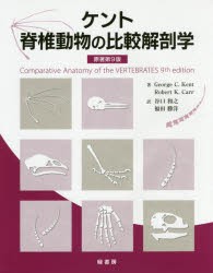 【新品】【本】ケント脊椎動物の比較解剖学　George　C．Kent/著　Robert　K．Carr/著　谷口和之/訳　福田勝洋/訳