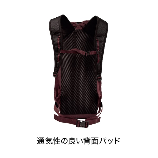 BLUE ICE(ブルーアイス) ドラゴンフライ18 100329