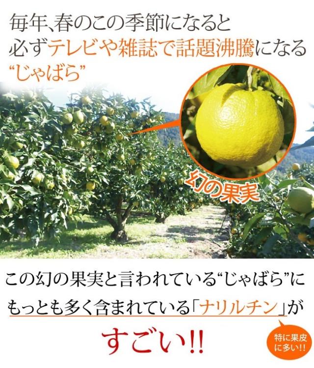 花粉対策 サプリメント 花粉症 じゃばら 30粒 柑橘 サプリ ネコポス発送 送料250円の通販はau Wowma Lunebeauty店