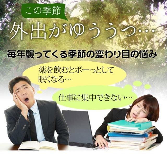 花粉対策 サプリメント 花粉症 じゃばら 30粒 柑橘 サプリ ネコポス発送 送料250円の通販はau Wowma Lunebeauty店