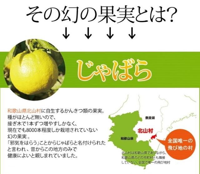 花粉対策 サプリメント 花粉症 じゃばら 30粒 柑橘 サプリ ネコポス発送 送料250円の通販はau Wowma Lunebeauty店