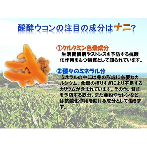 熱帯資源植物研究所 琉球王朝秘伝！醗酵ウコン粒 25粒 携帯ケース入り x200個(サプリ 沖縄産ウコン100% 増量剤無添加 旅行 飲み会)_1