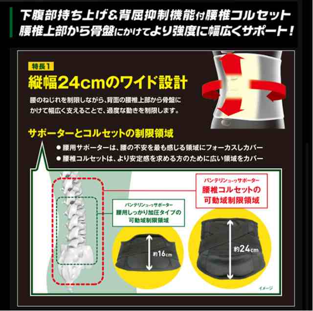 送料無料】バンテリンサポーター 腰椎コルセット 大きめサイズ L