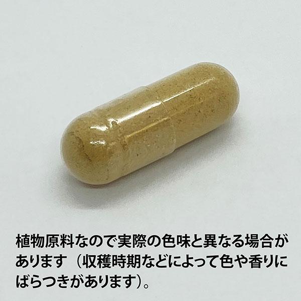 ECLECTICイチョウ(ギンコ)135カプセル FFD135(いちょう葉)E024(健康食品 ハーブエキス サプリメント)※お取り寄せ1週間程度かかります_1