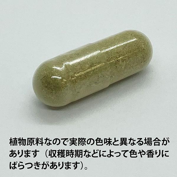 ECLECTIC セントジョンズワート(セイヨウオトギリソウ)135カプセル FFD135 E124(健康食品 ハーブエキス サプリメント)※お取り寄せ1週間_1