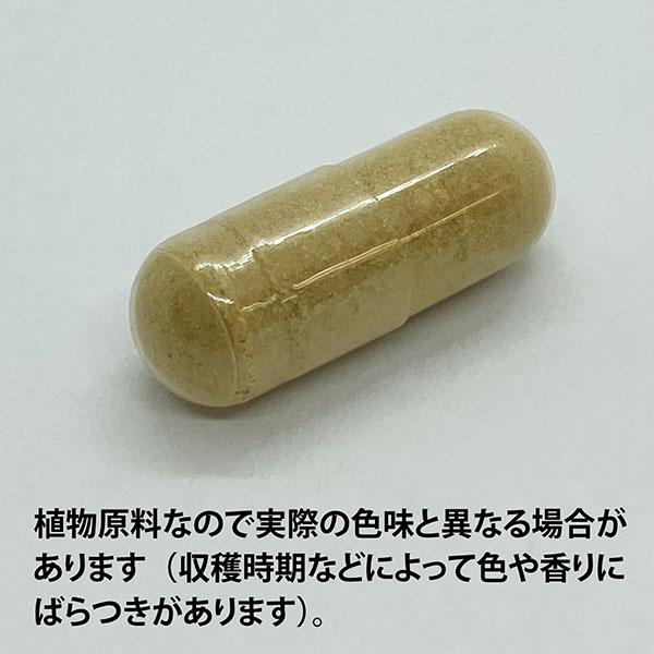 ECLECTIC ニガウリ(ゴーヤー)200mg×135カプセル FFD135 E264(健康食品 ハーブエキス サプリメント)※お取り寄せ1週間程度かかります_1