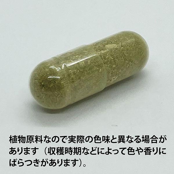 ECLECTIC パッションフラワー(トケイソウ)200mg×180カプセル Ecoパック180(快眠サポートに)EC144(健康食品 ハーブエキス サプリメント※_1