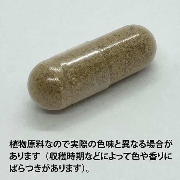 ECLECTIC マリアアザミ(ミルクシスル、ノゲシ)180カプセル Ecoパック180 EC174(健康食品 ハーブエキス サプリメント)※お取り寄せ1週間程の通販は