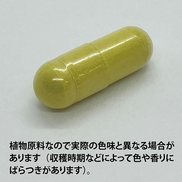 ECLECTIC ネイザルサポート 180カプセル Ecoパック180 EC524(健康食品 ハーブエキス サプリメント)※お取り寄せ1週間程度かかります_1