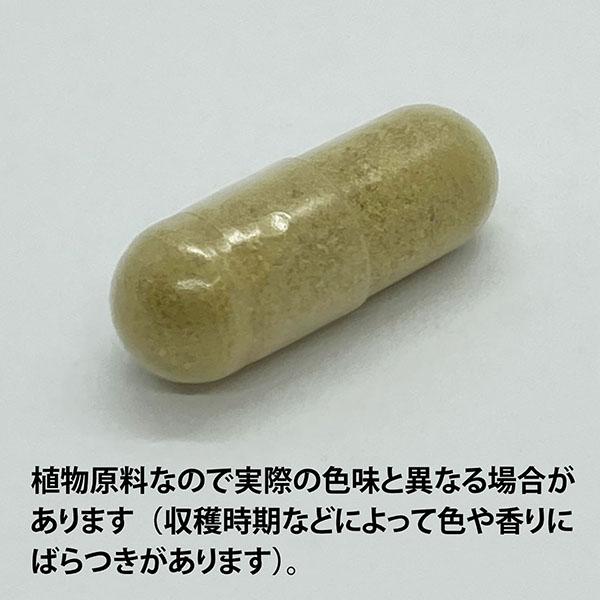 ECLECTIC オリーブリーフ(オリーブの葉)400mg×180カプセ Ecoパック180 EC534(健康食品 ハーブエキス サプリメント)※お取り寄せ1週間程_1