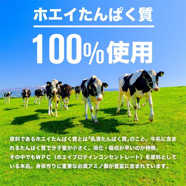 DNS ディーエヌエス プロテインホエイ100 プレミアムチョコレート風味 2000g ボディーケア プロテイン 栄養摂取 トレーニング おいしい