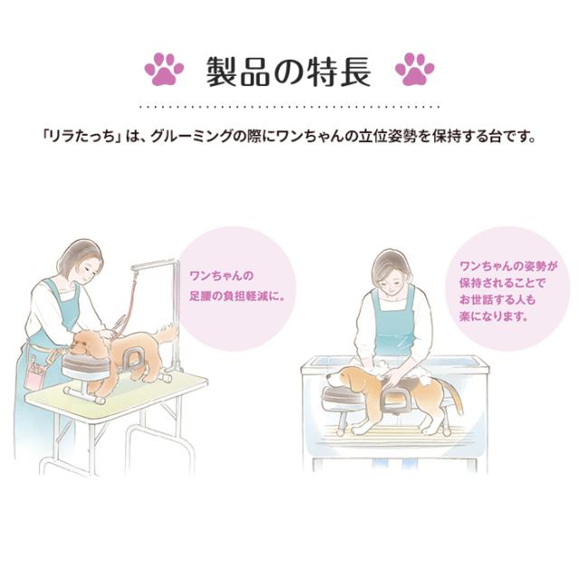 アロン化成(ワンエイド)リラたっち ホームタイプ ハイ240(ペット 姿勢