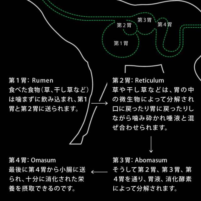 ドライフード クランチ オーブンベークド ビーフwithグリーントライプ 1.8kg 犬 総合栄養食 ニュートライプ(ペット用品 犬　フード ド・_4