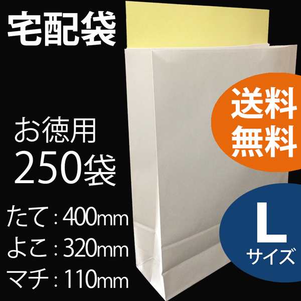 宅配袋　お徳用 【Ｌサイズ　250枚】 【送料無料】 シール付　宅配用袋　ホワイト　無地　梱包袋　梱包資材　マチあり　白袋