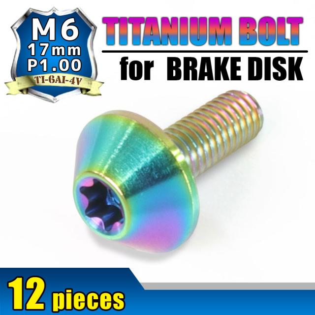M6×17 P1.00 チタンボルト ブレーキディスクボルト 12本セット 6mm 17mm ピッチ1.0 ホンダ CBF1000 CBF1000 CBR1000RR CBR400RR CBR929 CBR954 DN01 VFR400