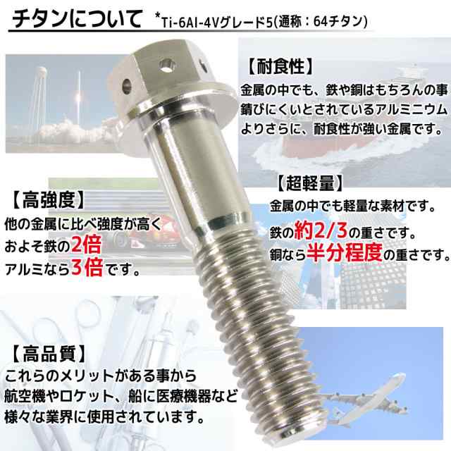 M6×20 P1.00 チタンボルト ブレーキディスクボルト 10本セット 6mm 20mm ピッチ1.0 ヤマハ YZF-R1  YZF-R1ビックバン YZF-R125 YZF-R6 FZ｜au PAY マーケット