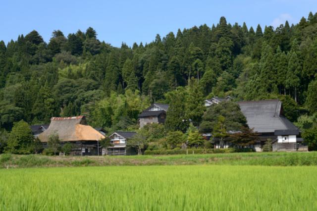 値下げしました！【令和7年産】【精米】北陸・石川県産 ひゃくまん穀 10kg 送料無料!!(北海道はかかります。沖縄配送不可)_1