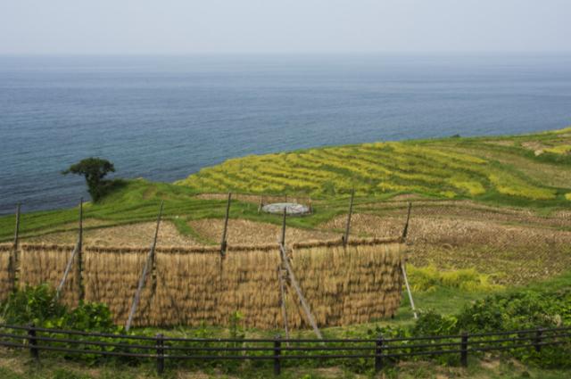 値下げしました！【令和7年産】【精米】北陸・石川県産 ひゃくまん穀 10kg 送料無料!!(北海道はかかります。沖縄配送不可)_2