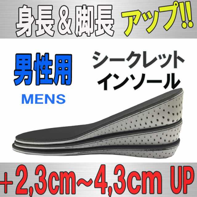 身長アップ インソール シークレット 男性用 メンズ 中敷き Mens 背が高くなる 足長 靴 上げ底 かかと ビジネスの通販はau Pay マーケット 王国広場ショッピングモール インク王国