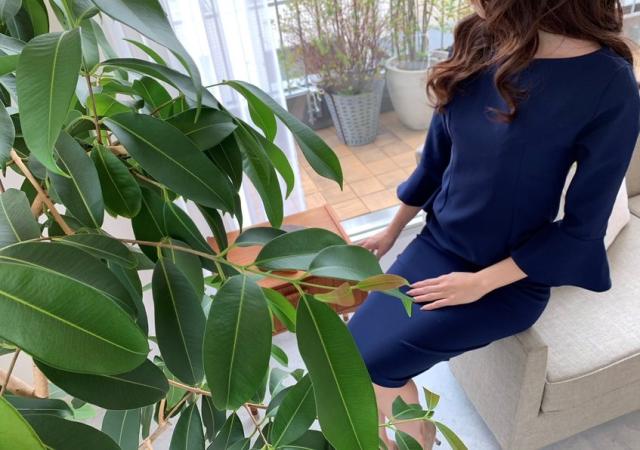 【新品】【即納】フレアスリーブ ミドルワンピース  ff（フフ） レディース 女性 ファッション 洋服